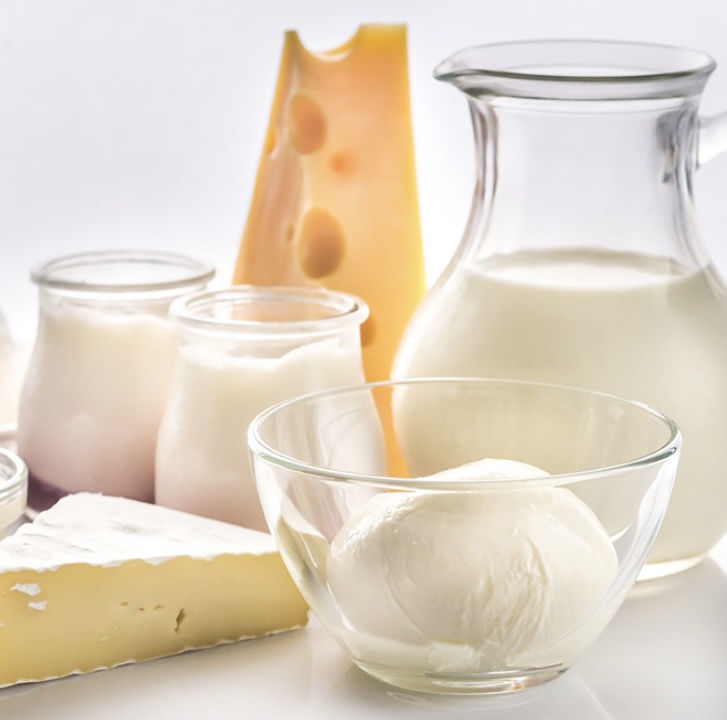 Süt Ürünleri