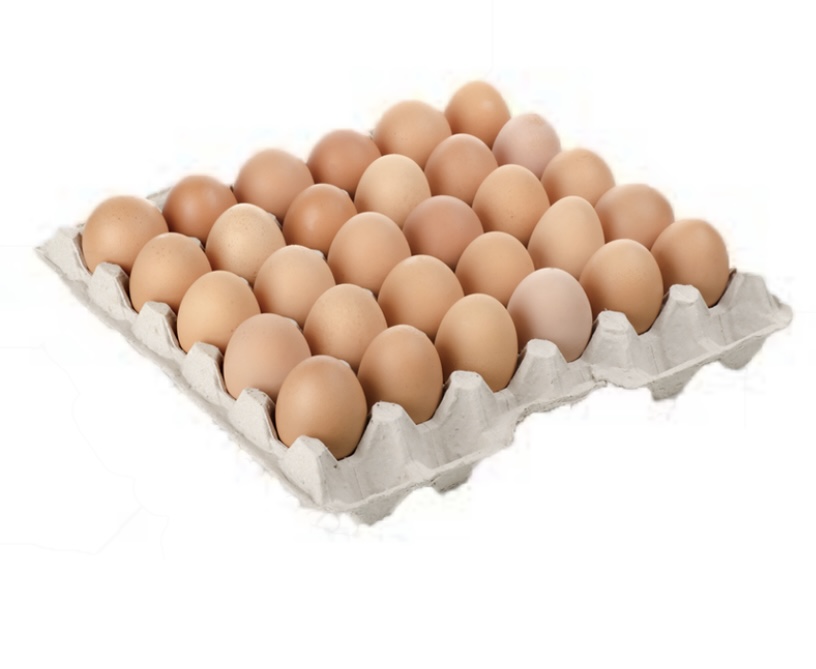 30 lu M Boy Köy Yumurta