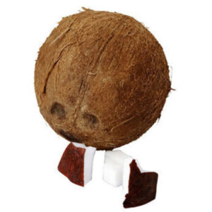 Hindistan Cevizi 1 Adet